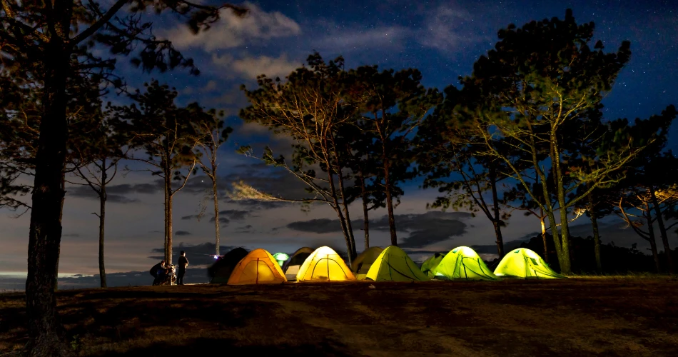 Lee Vining After Dark: Top Night Activities Near Mono Lake